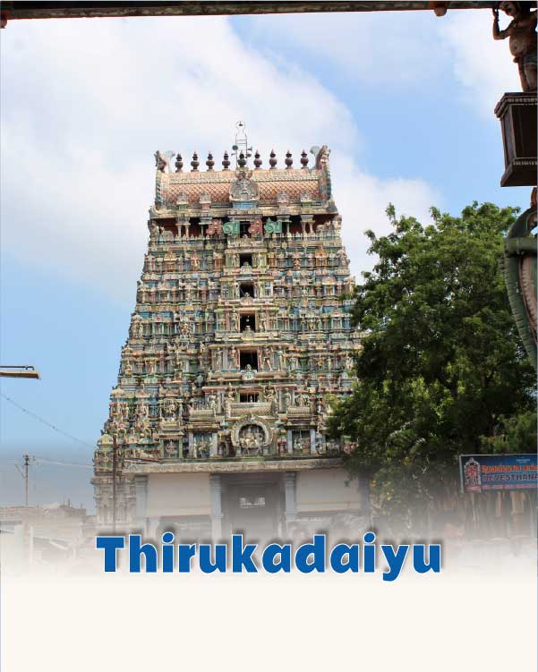 Thirukadaiyur