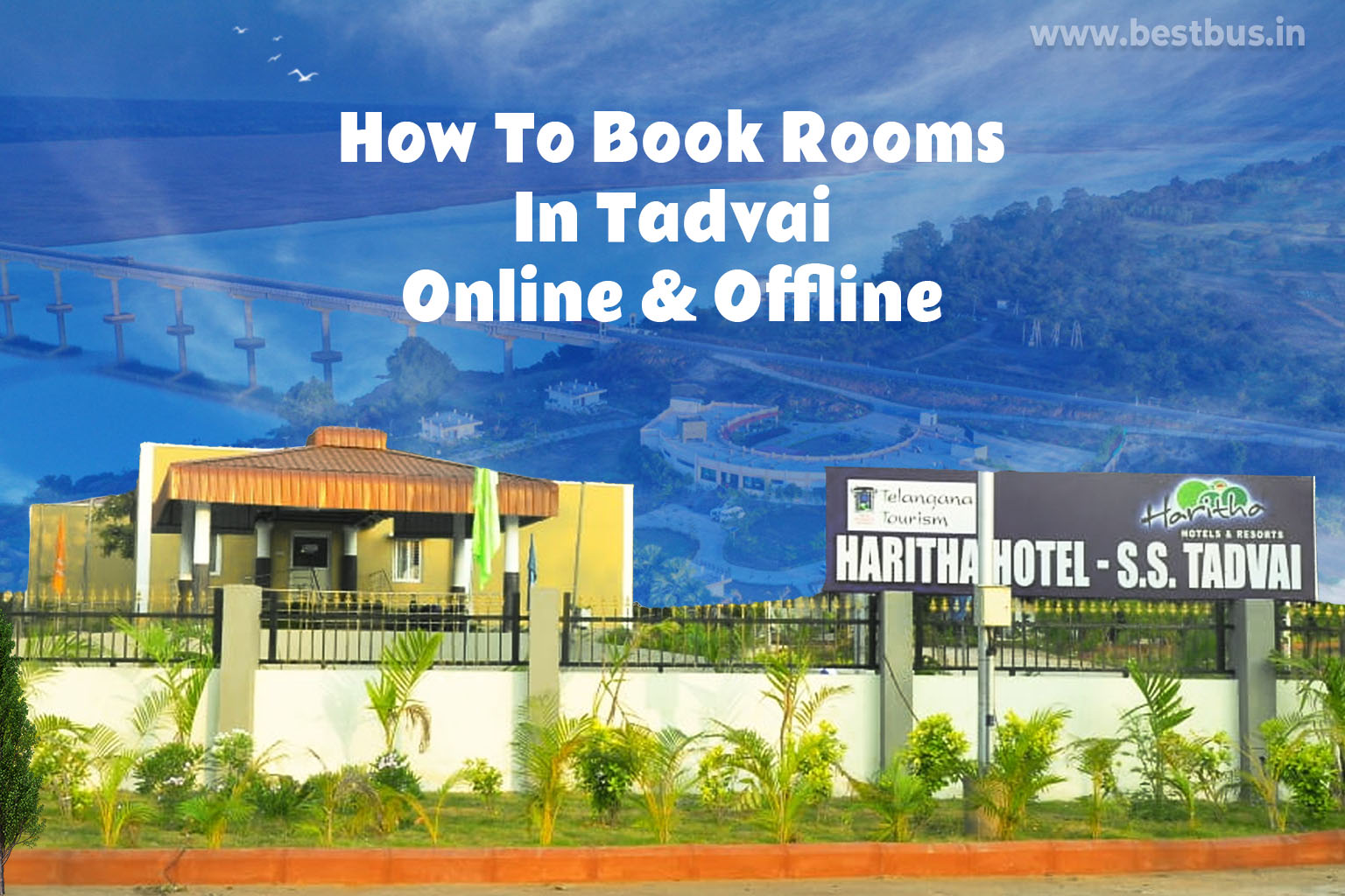 How To Book Rooms In Tadvai Online & Offline