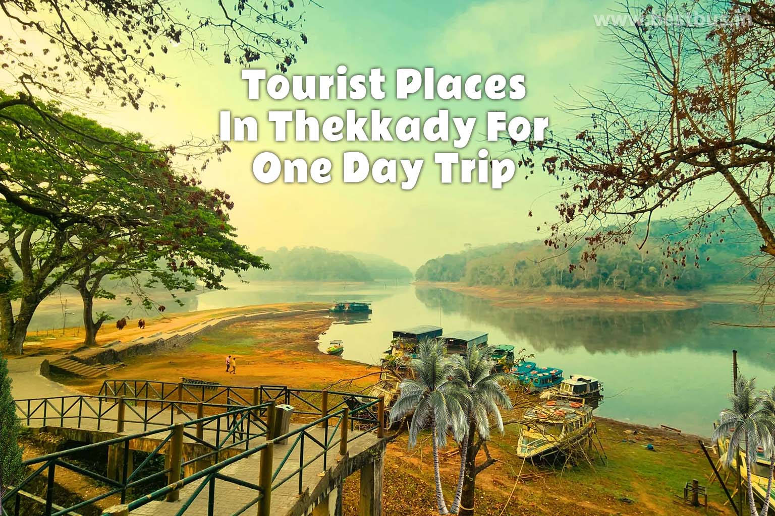 Tourist Places In Thekkady For One Day Trip