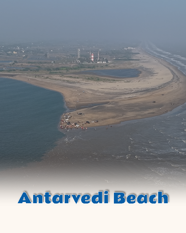 Antarvedi Beach