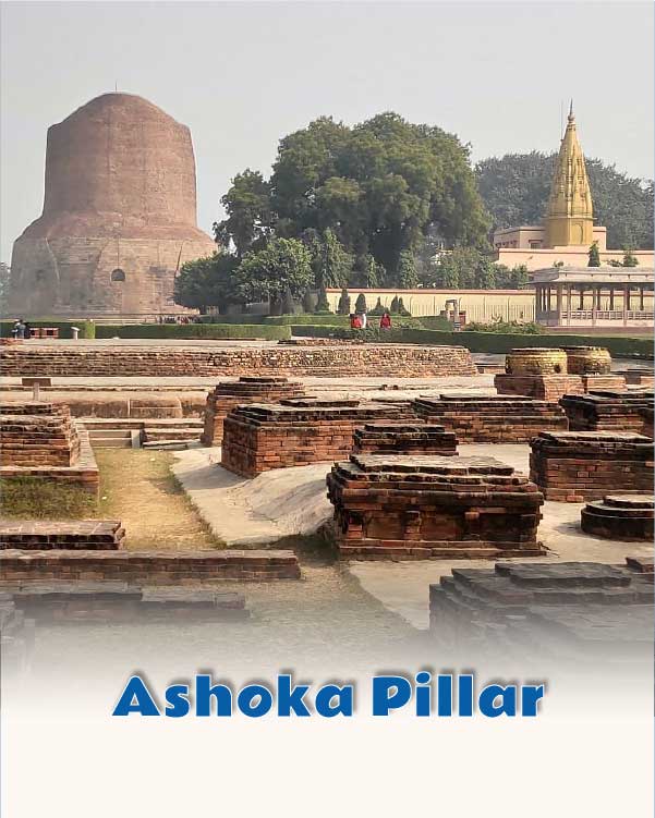 Ashoka Pillar
