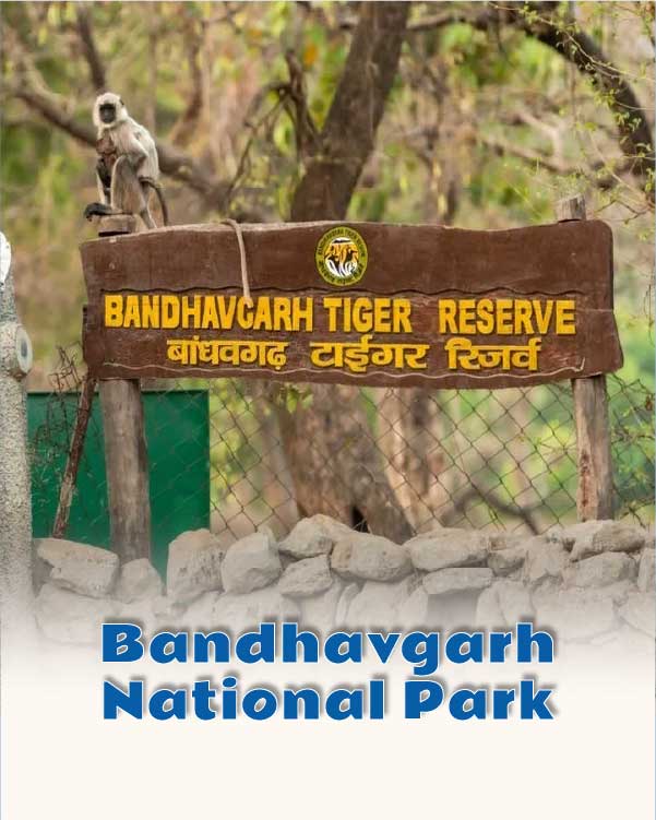Bandhavgarh National Park