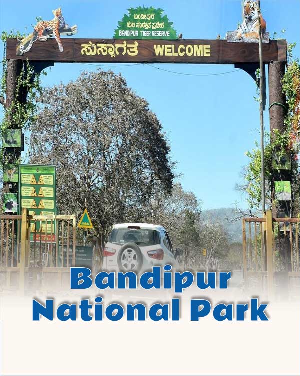 Bandipur National Park