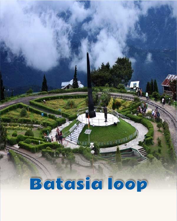 Batasia loop