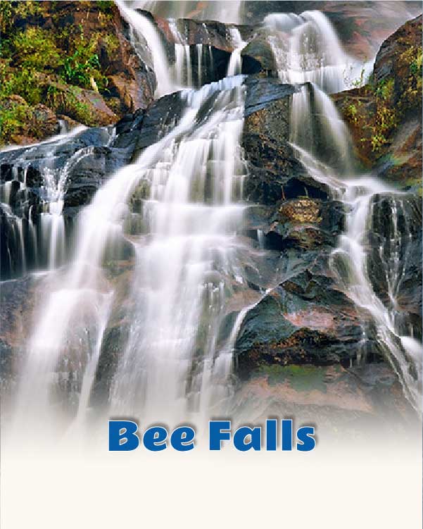 Bee Falls