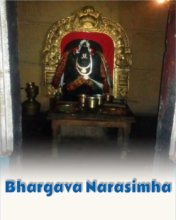 Bhargava Narsimha