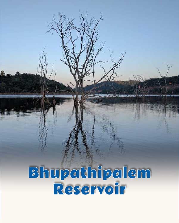 Bhupathipalem Reservoir