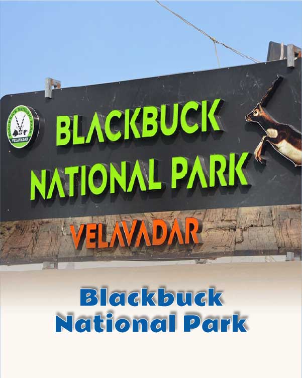 Blackbuck National Park