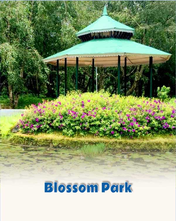 Blossom Park