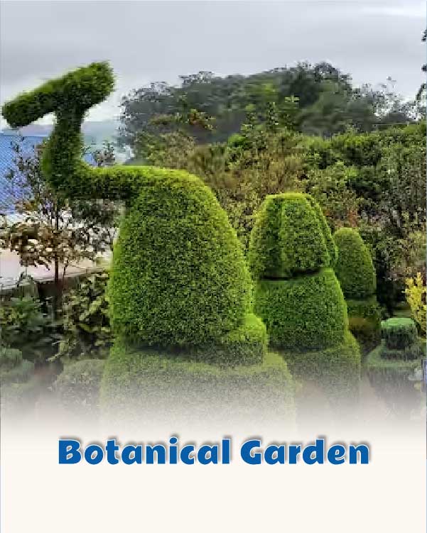 Botanical Garden