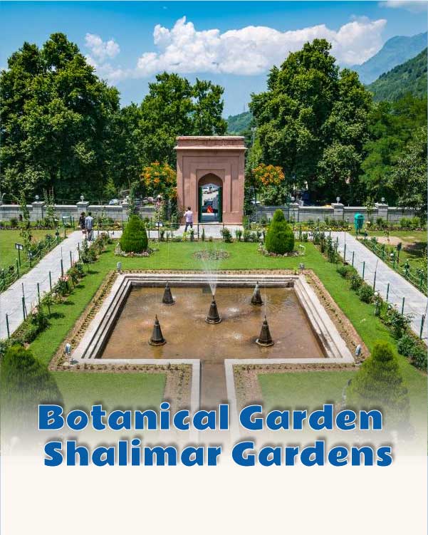 Botanical Garden or Shalimar Gardens
