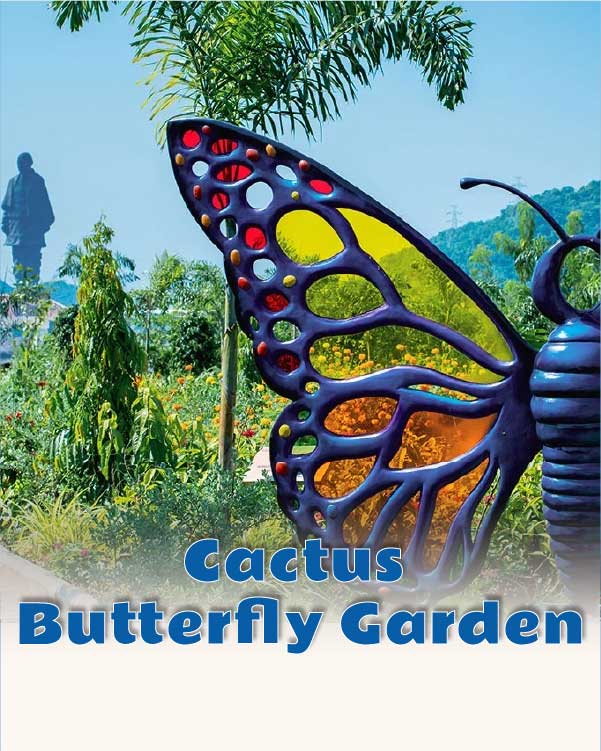 Cactus and Butterfly Garden