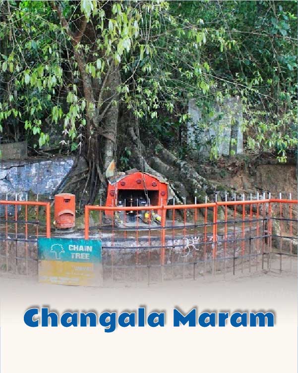 Changala Maram