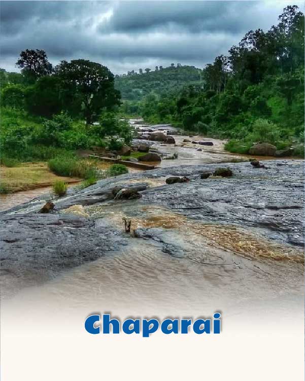Chaparai