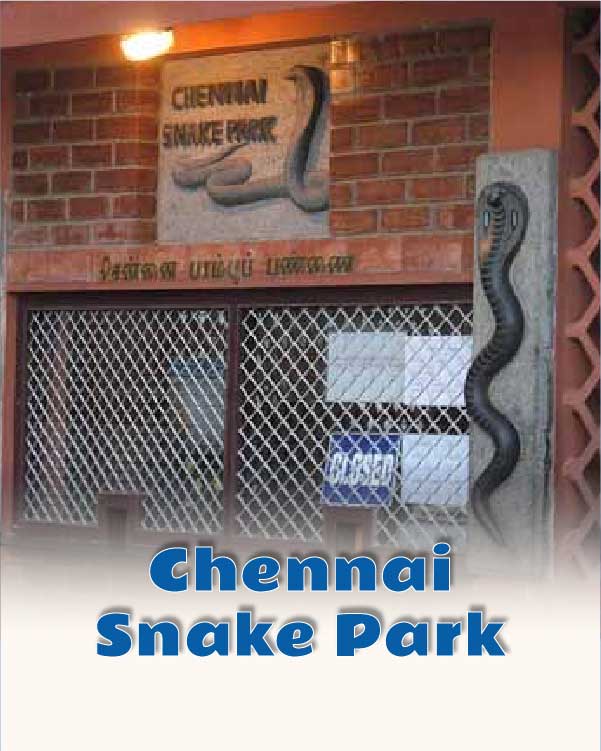 Chennai Snake Park
