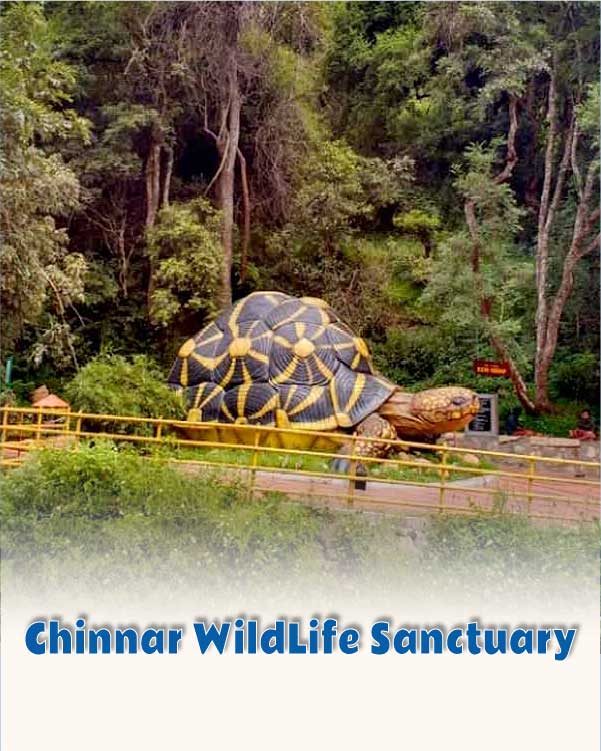 Chinnar WildLife Sanctuary
