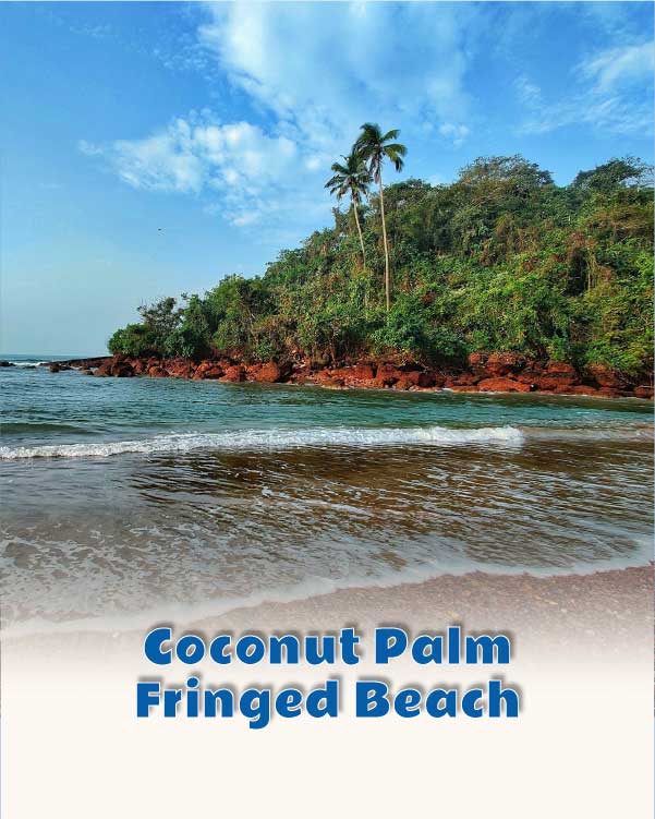 Coconut Palm Fringed Beach
