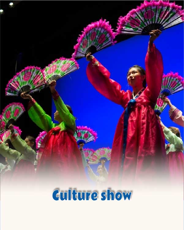 Culture show