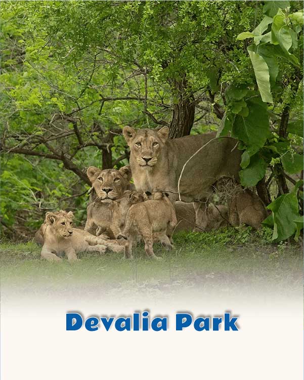 Devalia Park