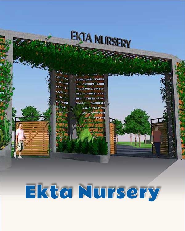 Ekta Nursery