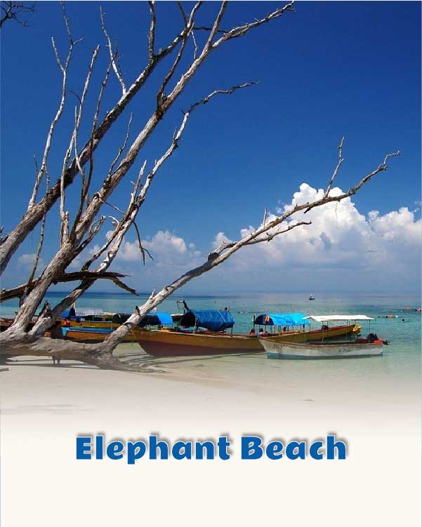 Elephant Beach