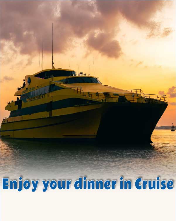 Enjoy your dinner in Cruise