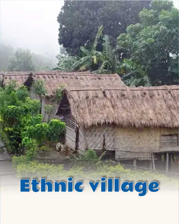 Ethnic village