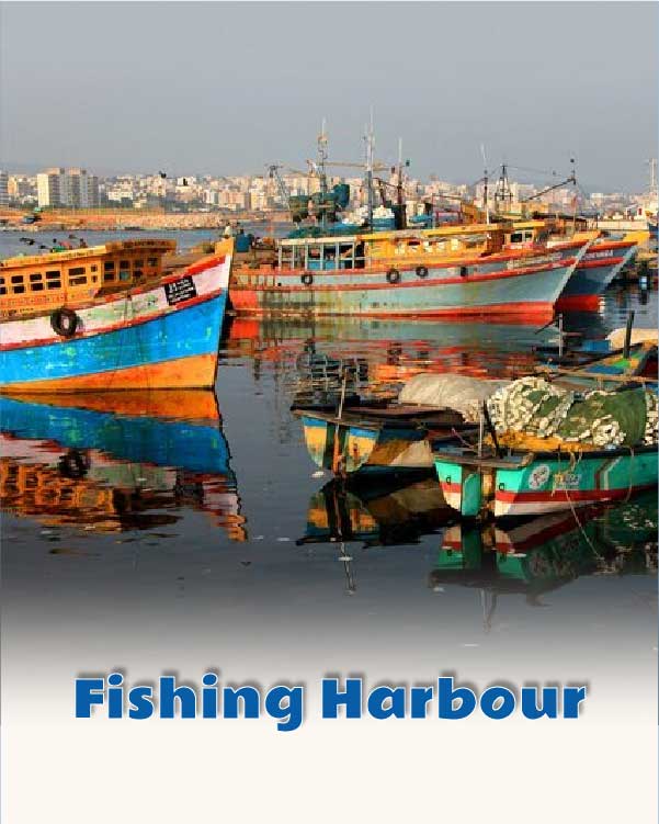 Fishing Harbour