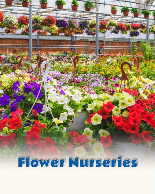 Flower Nurseries