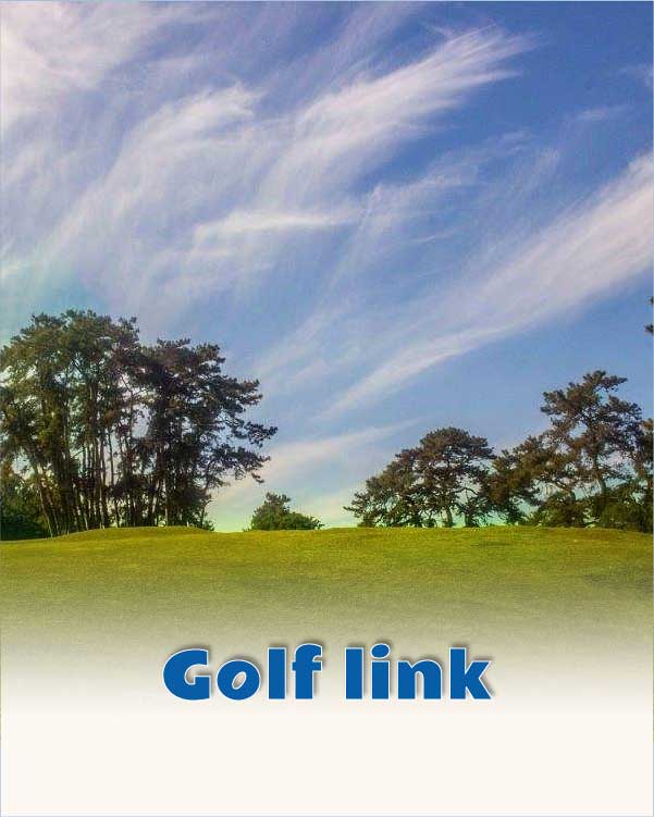 Golf link