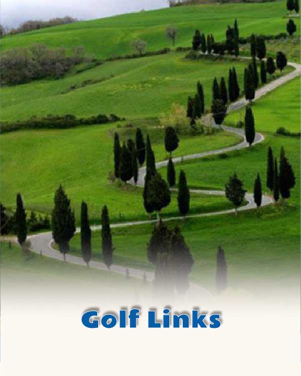 Golf Links