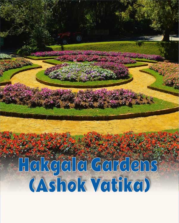 Hakgala Gardens (Ashok Vatika)