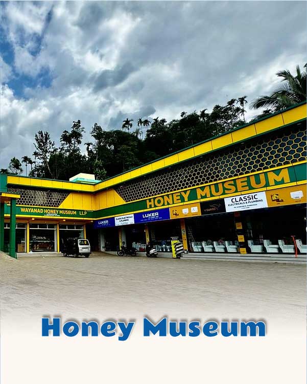 Honey Museum