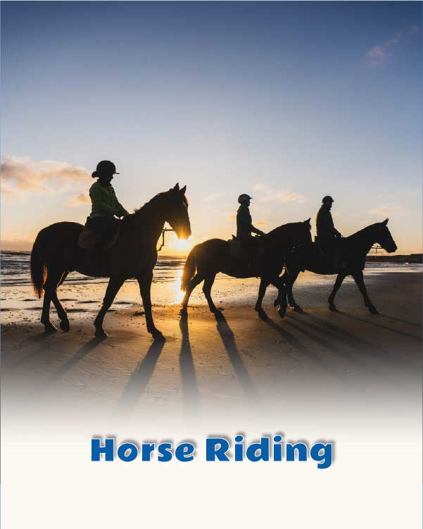 Horse Riding