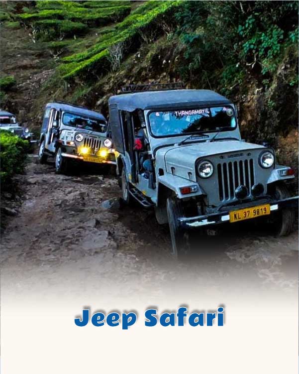 Jeep Safari