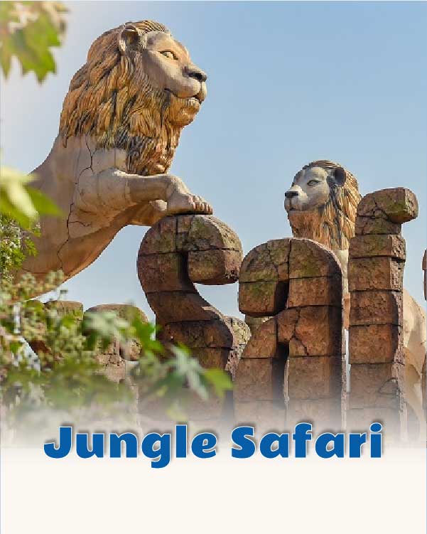 Jungle Safari