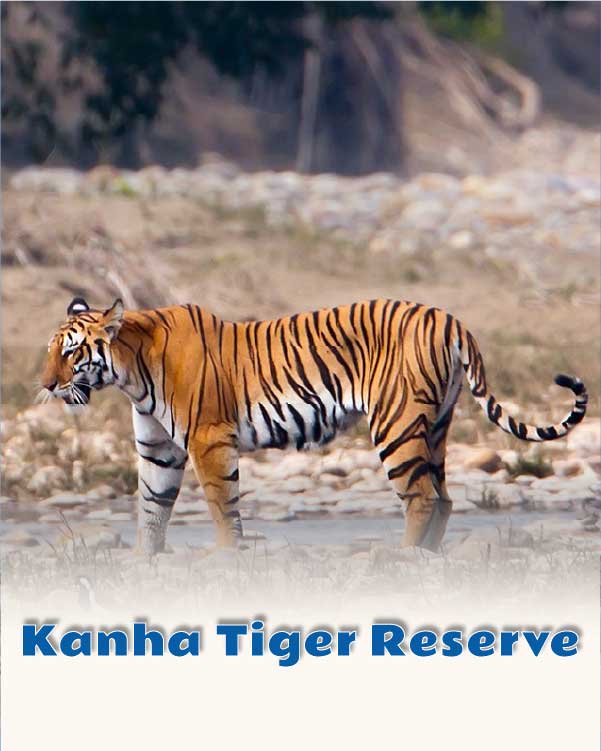 Kanha Tiger Reserve