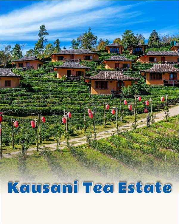 Kausani Tea Estate