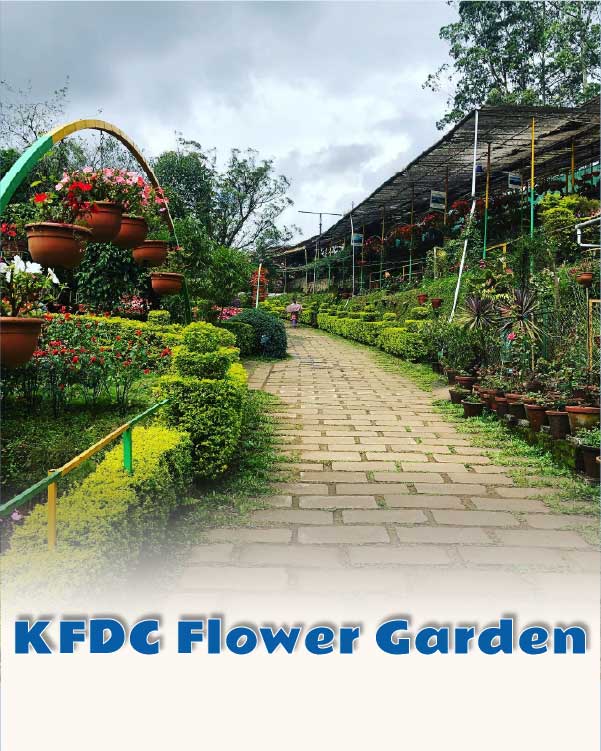 KFDC Flower Garden