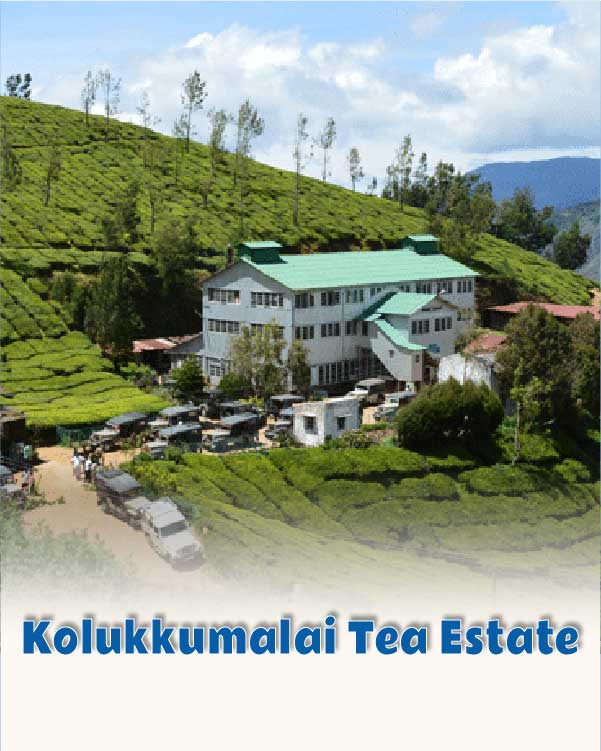 Kolukkumalai Tea Estate