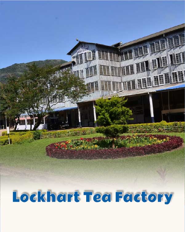 Lockhart Tea Factory
