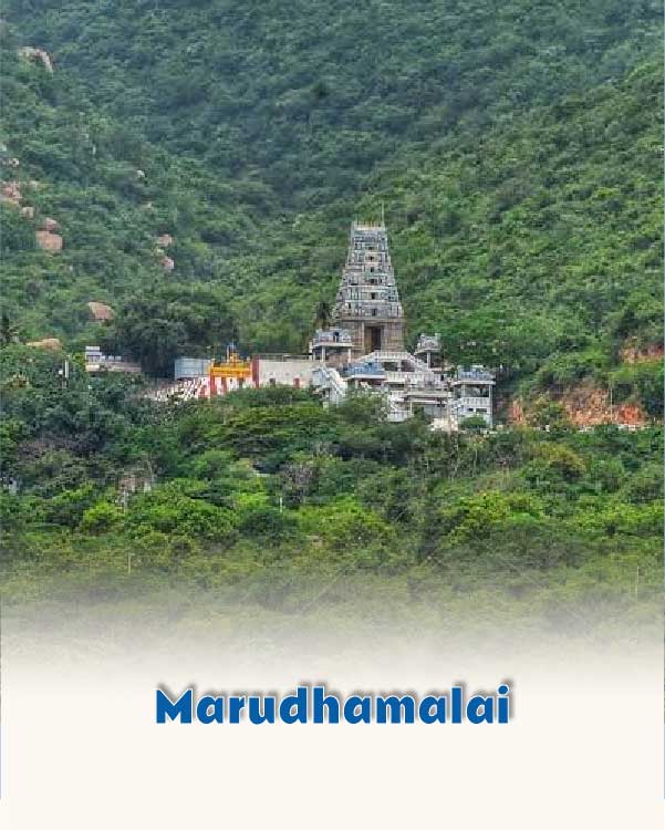 Marudhamalai