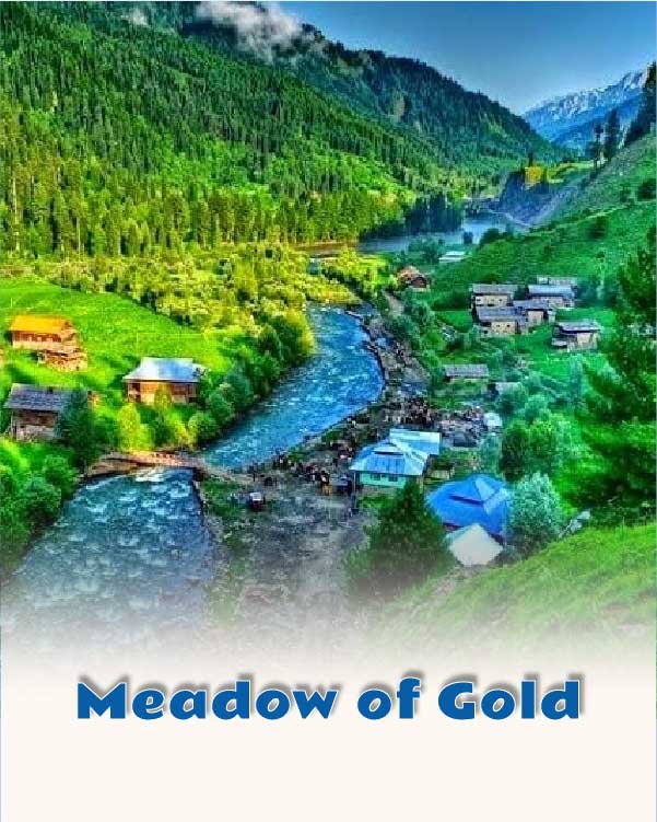 Meadow of Gold