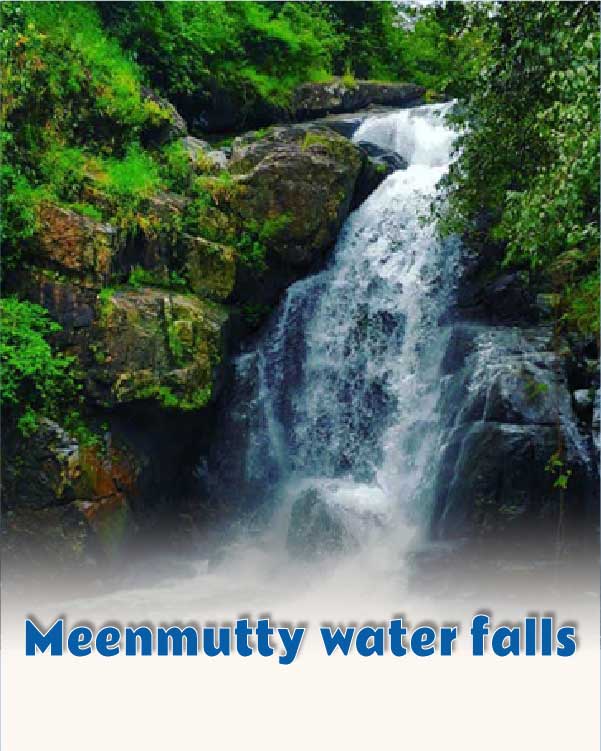 Meenmutty water falls