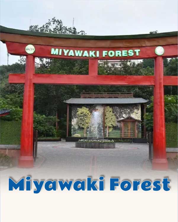 Miyawaki Forest