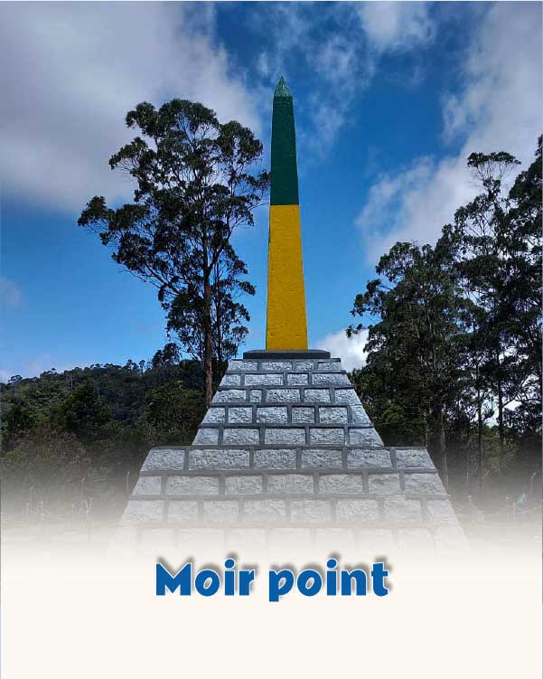 Moir point