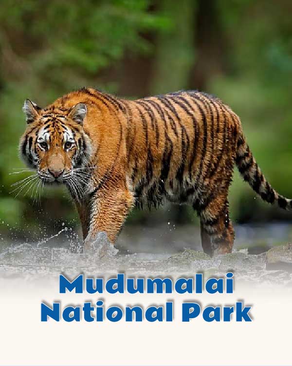 Mudumalai National Park