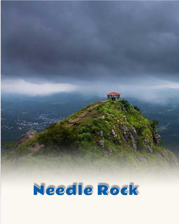 Needle Rock