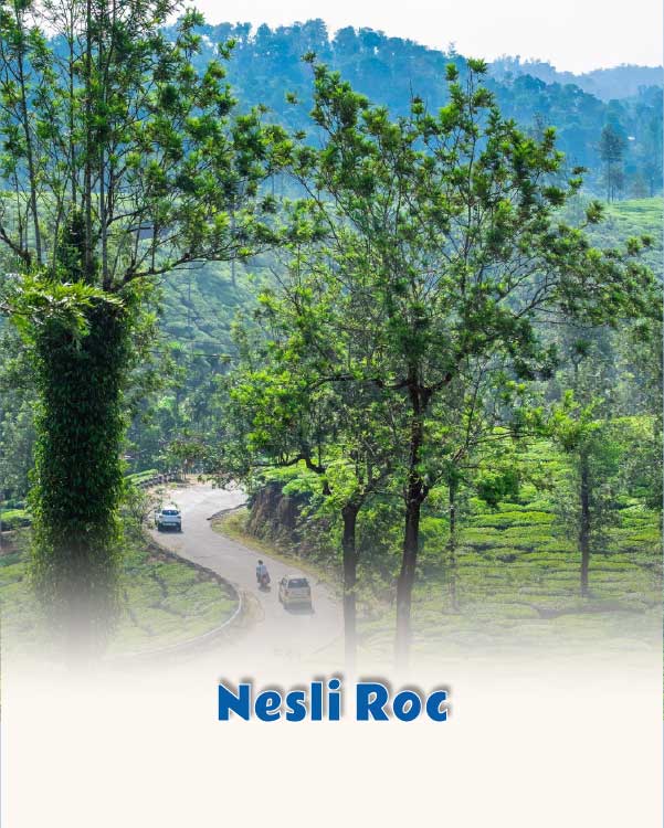 Nesli Roc