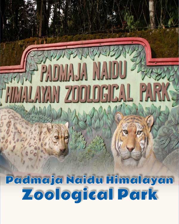 Padmaja Naidu Himalayan Zoological Park
